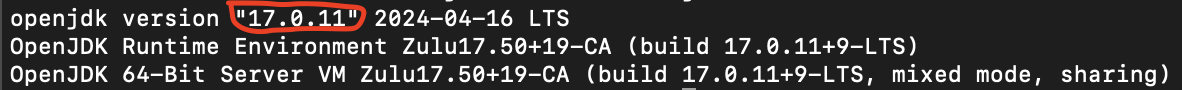 javaVersionMacOS.png