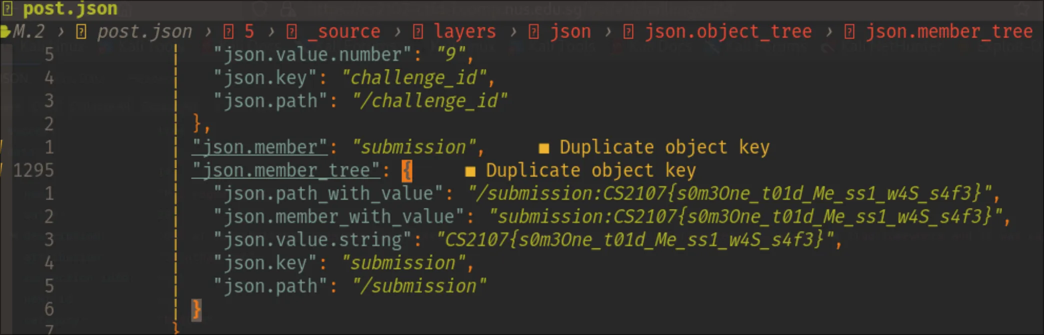 unsafe packets